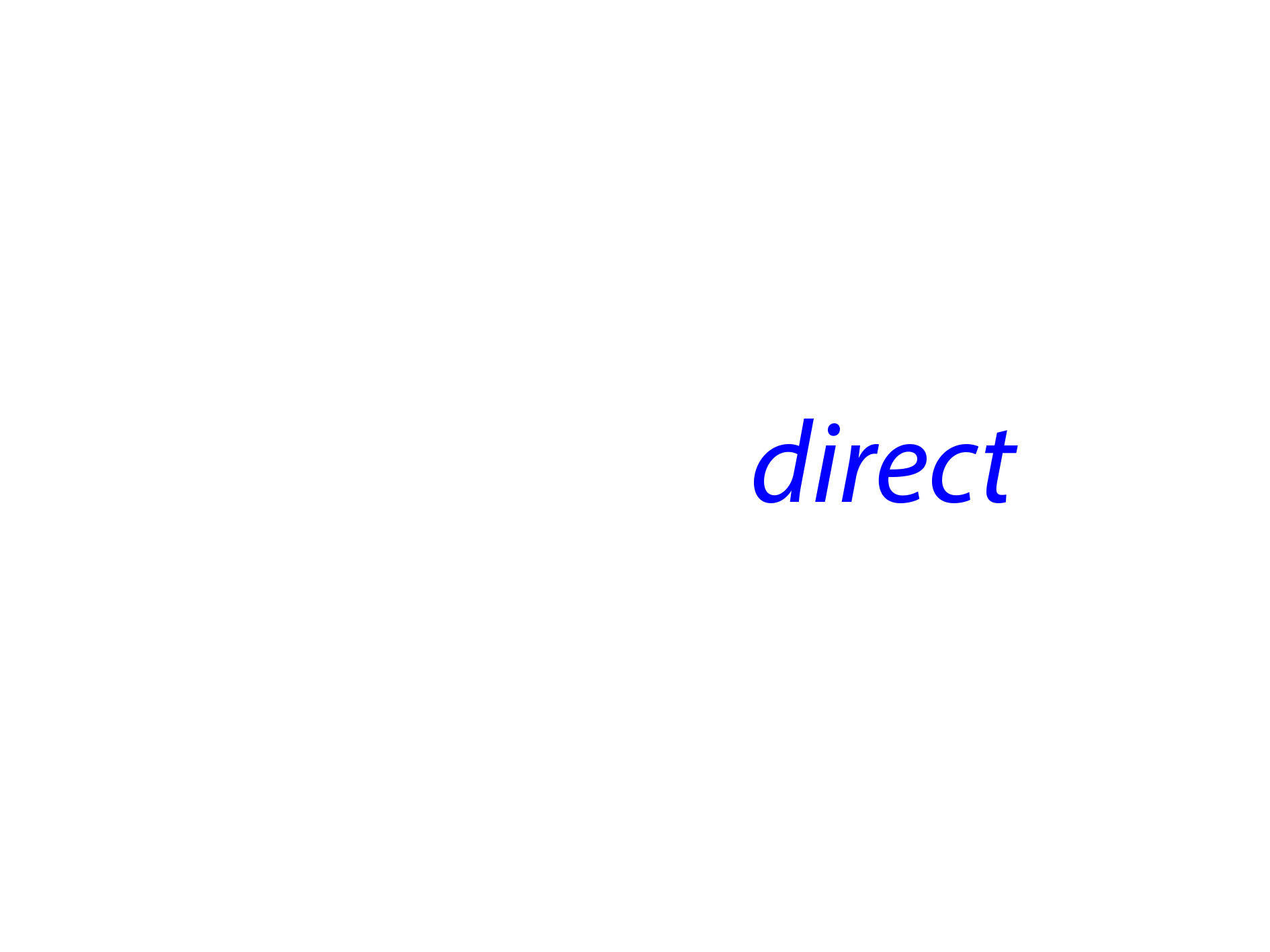 spandoekdirect logo (png)